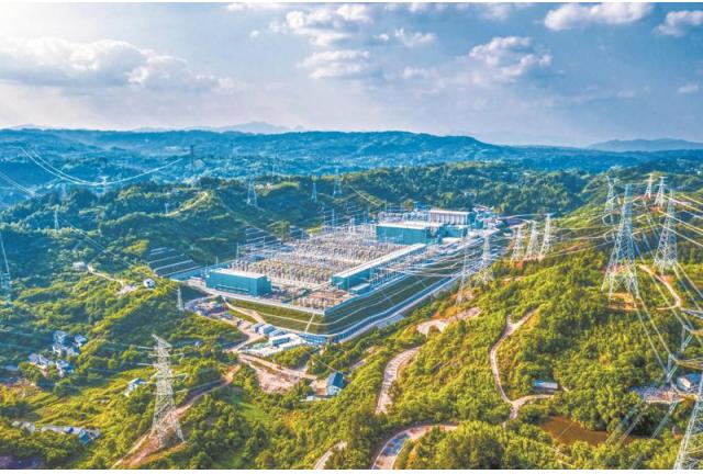 特稿｜凝心聚力谋发展 实干创新显担当